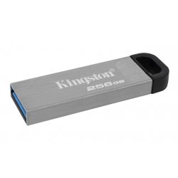 KINGSTON USB Stick Data Traveler DTKN/256GB,USB 3.2, Silver