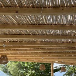 Καλάμι ολόκληρο διετές O20-25ΜΜ O20-25εκ. | 100(Υ) x 300εκ.