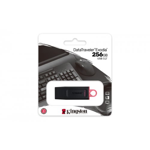 KINGSTON USB Stick Data Traveler DTX/256GB, USB 3.2, Black