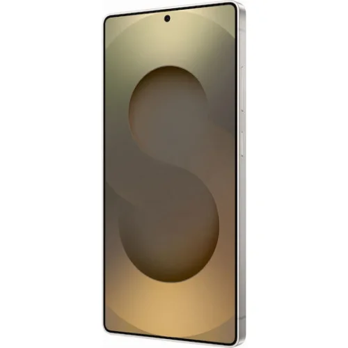 Samsung Galaxy S25 Ultra 5G Dual SIM (12/256GB) Titanium Gray