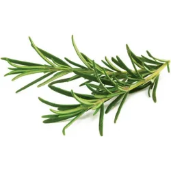 Click and Grow Σπόροι Δενδρολίβανο 3τμχ