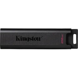 Kingston DataTraveler 256GB USB 3.2 Stick με σύνδεση USB-C Μαύρο