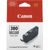 Canon PFI-300 Γνήσιο Μελάνι Εκτυπωτή InkJet Γκρι (4200C001)