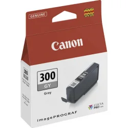 Canon PFI-300 Γνήσιο Μελάνι Εκτυπωτή InkJet Γκρι (4200C001)