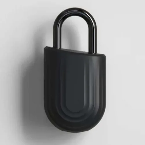Igloohome Λουκέτο Πέταλο με Κλειδί Μαύρο