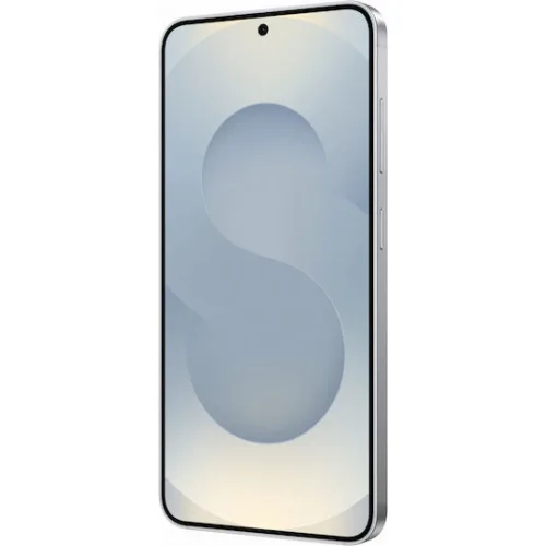 Samsung Galaxy S25 5G Dual SIM (12/256GB) Silver Shadow