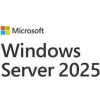 Microsoft 2025 Client Access License Cal 5 DSP Αγγλικά