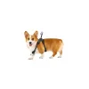 Insta360 Go 3/go 3s Pet Harness Mount Size M Cinsbavw