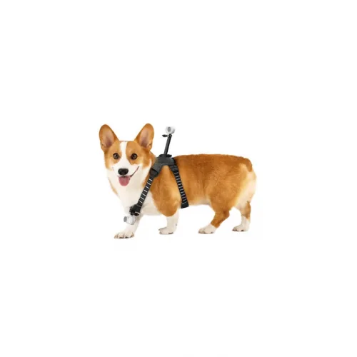 Insta360 Go 3/go 3s Pet Harness Mount Size M Cinsbavw