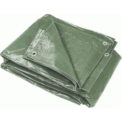 Bormann BTR2000 Μουσαμάς 60gr/m² 2x3μ. Ελαφρού Τύπου Πράσινος