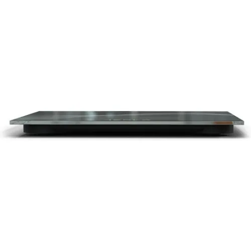 Tesla Body Scale BS102B