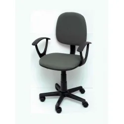 Παιδική Καρέκλα Γραφείου Με Μπράτσα Γκρι 57x47x92εκ.