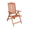 Καρέκλα Εξωτερικού Χώρου Ξύλινη Καφέ 47x41x118εκ.
