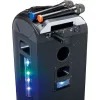 Lenco Ασύρματο Μικρόφωνο Karaoke Set of 2 σε Μαύρο Χρώμα Lenco Ασύρματο Μικρόφωνο Karaoke Set of 2 σε Μαύρο Χρώμα