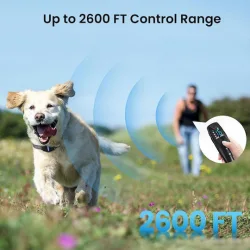 POWERTECH ηλεκτρικό κολάρο εκπαίδευσης σκύλου PT-1398 με ασύρματο χειριστήριο, εμβέλεια 800m