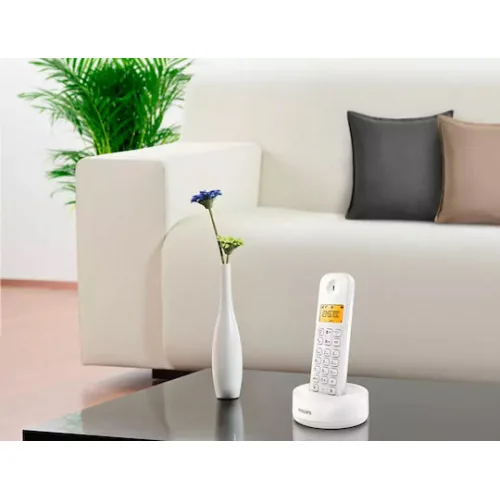Philips D160 Ασύρματο Τηλέφωνο με Ελληνικό Μενού Λευκό