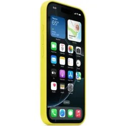 Apple Silicone Case with MagSafe Back Cover Σιλικόνης Star Fruit (iPhone 16 Pro)