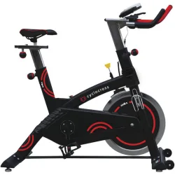 AMILA Ποδήλατο Spinning Μαγνητικό με Ροδάκια