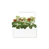 Click and Grow The Smart Garden 3 Αυτοποτιζόμενη Ζαρντινιέρα Πλαστική White 32x23x21εκ.