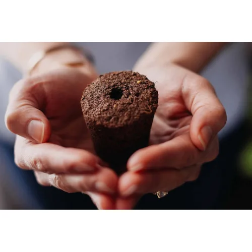 Click and Grow Σπόροι Λεβάντας 3τμχ