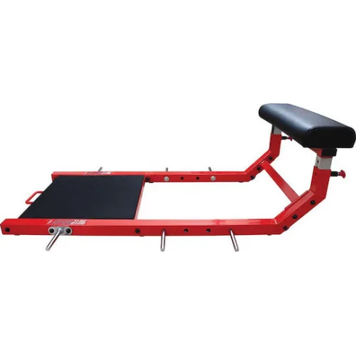 AMILA Glute Master Όργανο Γλουτών