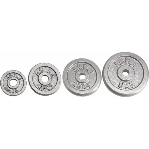 AMILA Δίσκος Μεταλλικός 1 x 10kg Φ28mm