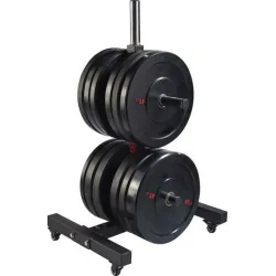 AMILA Disk Base F50 Βάση για Δίσκους Βαρών Ολυμπιακού Τύπου