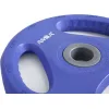 AMILA Pump Rubber Δίσκος Λαστιχένιος 1 x 2.5kg Φ28mm με Λαβές