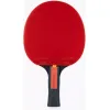 Butterfly Ovtcharov Ρακέτα Ping Pong για Προχωρημένους Παίκτες