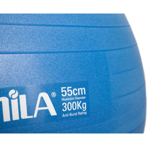 AMILA Μπάλα Pilates 55cm 0.95kg σε Μπλε Χρώμα