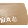 Μπάλα Γυμναστικής Amila Gymball 75cm Χρυσή Bulk