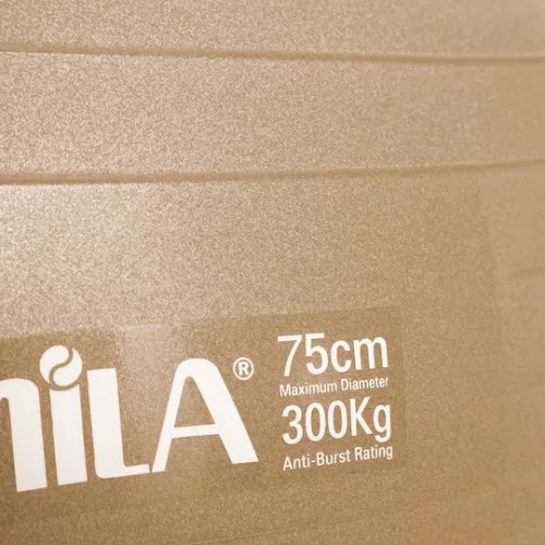 Μπάλα Γυμναστικής Amila Gymball 75cm Χρυσή Bulk