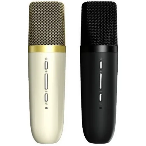 HiFuture Σύστημα Karaoke με Ασύρματo Μικρόφωνo Vocalist100 σε Ασημί Χρώμα