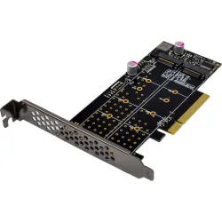Powertech Κάρτα PCIe σε 2 θύρες M.2