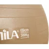 AMILA Μπάλα Pilates 65cm , 1.50kg σε Χρυσό Χρώμα Bulk