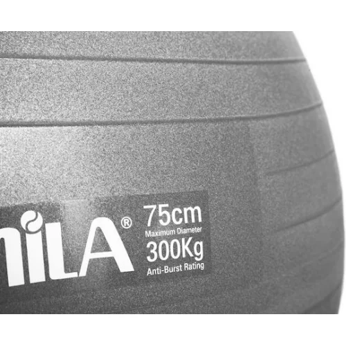 AMILA Μπάλα Pilates 75cm , 1.80kg σε Γκρι Χρώμα