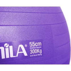 AMILA Μπάλα Pilates 55cm , 1kg σε Μωβ Χρώμα