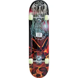 AMILA Skatebird Skull 7.87" Complete Shortboard Πολύχρωμο