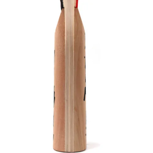 Sunflex Speed Ρακέτα Ping Pong