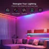 Govee Smart Ταινία LED Wi-Fi 24V RGB Φως 5m με Τροφοδοτικό