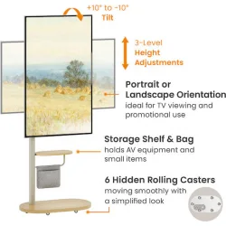 Brateck FS54-22T-02W Βάση Τηλεόρασης Δαπέδου έως 43" και 15kg Ασημί