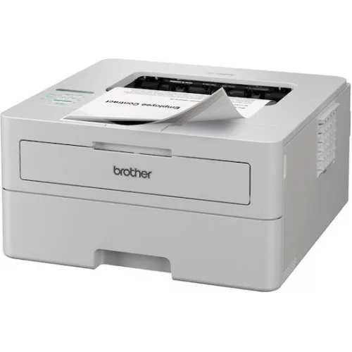 Brother Ασπρόμαυρος Εκτυπωτής Laser HL-L2865DWRE1
