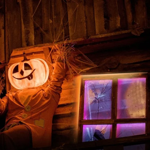 TP-LINK Smart Ταινία LED Wi-Fi 220V RGB Φως 5m με Τροφοδοτικό v1