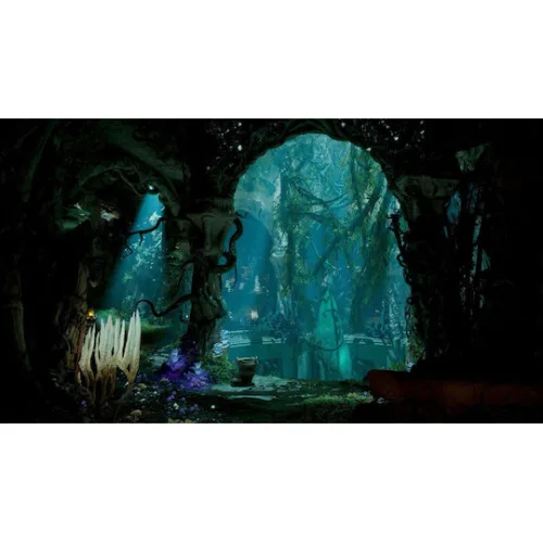 Avowed Steelbook Premium Edition Xbox Series X Game