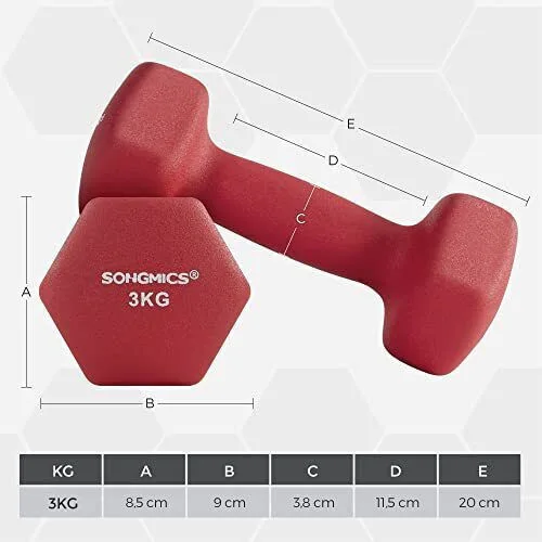 Songmics σετ 2 Αλτήρες 3 κιλών, κόκκινο  (SYL66RD) (SNGSYL66RD)