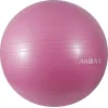 AMILA Μπάλα Pilates 55cm , 1kg σε Ροζ Χρώμα