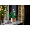 LEGO Botanical Collection Peace Lily για 18+ Ετών 474τμχΚωδικός: 11504