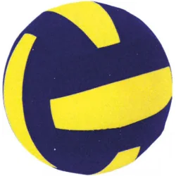 AMILA Παιδική Μπάλα Βόλεϊ Κίτρινη
Κωδικός: 99527