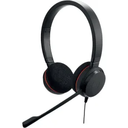 Jabra Evolve 20 On Ear Multimedia Ακουστικά με μικρόφωνο και σύνδεση USB-A / USB-C