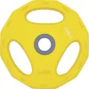 AMILA Pump Rubber Δίσκος Λαστιχένιος 1 x 2.5kg Φ30mm με ΛαβέςΚωδικός: 84516